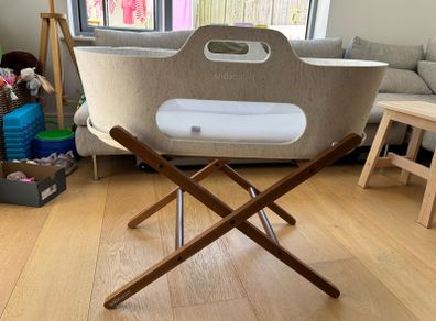 Moses Basket