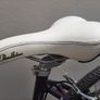 Pendleton Bike Image 2