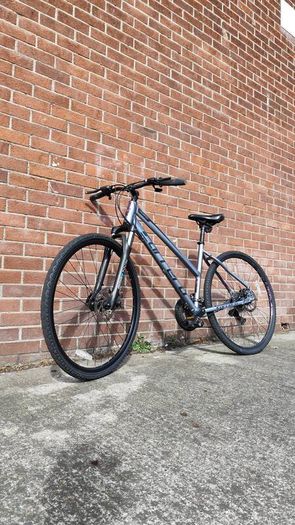Hybrid Bike