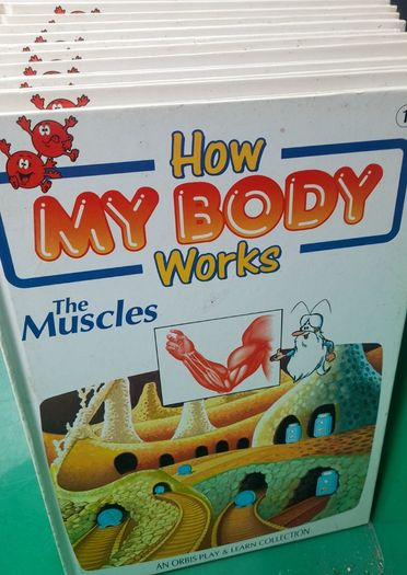How My Body Works