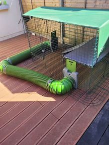 Omlet outdoor rabbit/guinea pig run