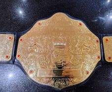 Official WWE Big Gold World Heavyweight Championship Title Belt 2010