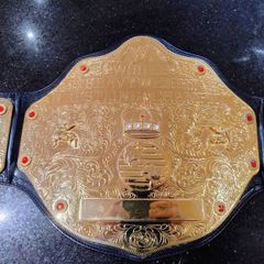 Official WWE Big Gold World Heavyweight Championship Title Belt 2010