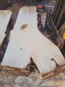 Hardwood timber