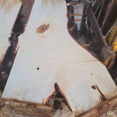 Hardwood timber