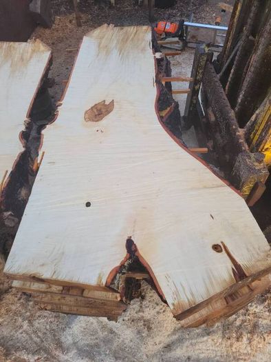 Hardwood timber