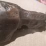 Rare Original Bronze Cuchulainn Sculpture.Oliver Sheppard. Image 10
