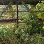 cast iron flatbar gate Image 4