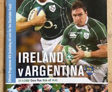 2008 Ireland v Argentina - November International Programme