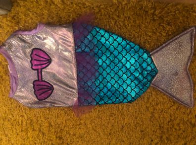 Dog Mermaid Outfit