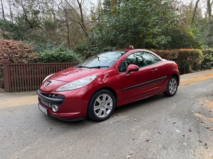 2007 Peugeot 207