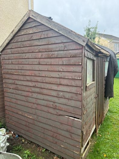 timber / wood / old shed