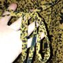 Quiz Ladies wrap around Dress Image 3