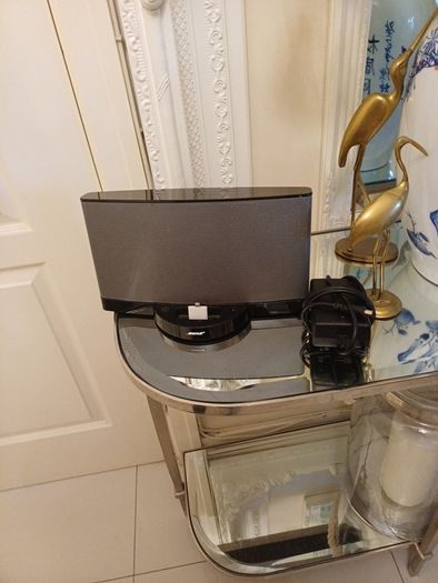 Bose soundock series II
