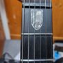 Sterling By Music Man John Petrucci Dimarzio JP150DSM Image 8