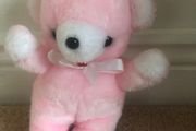 Pink Teddy