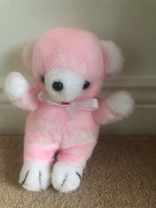 Pink Teddy