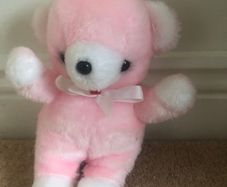 Pink Teddy
