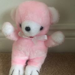 Pink Teddy