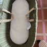 Moses Basket & Stand Image 2