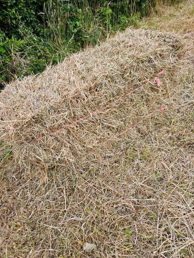Organic Hay