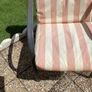 garden Image 6