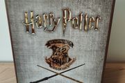 Harry Potter Hogwarts Battle  Defence Against the Dark Arts