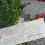 3 Rate Receipts from 1893 - Tully East, Naas Image 3