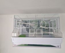 bird cage