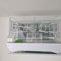 bird cage