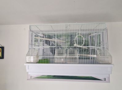 bird cage