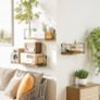 Rustic Floating Shelves, Decorative Wood Wall Shelves Set of 3, Wall Mounted Storage Shelves for Bedroom, Living Room, Kitchen, Bathroom, Office and More Carbonized Black (MULTIPLE COLOURS) Image 4