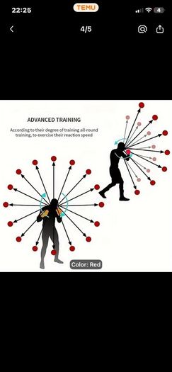 Speed training ball