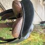 equestrian Image 4