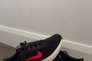 nike winflo 10 brand new