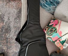 Padded Bass Gigbag