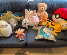 Free - bag full of teddies