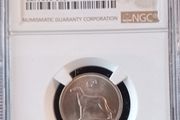 1968 Ireland 6pence Coin NGC MS66 Top Graded