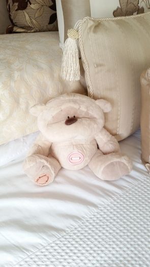 Fizzy Moon Teddy Bear