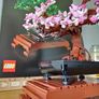 LEGO Botanical Collection 10281 Bonsai Tree Image 6