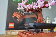 LEGO Botanicals Flower Sets