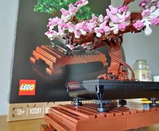 LEGO Botanicals Flower Sets