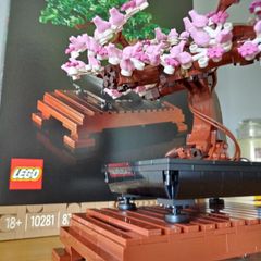 LEGO Botanicals Flower Sets