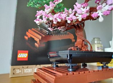 LEGO Botanicals Flower Sets
