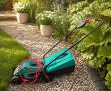 electric lawn mower