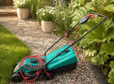 electric lawn mower