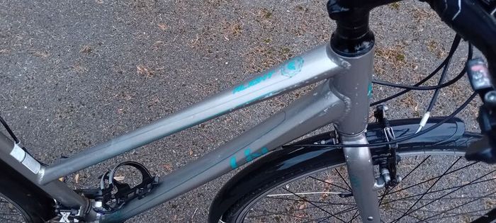 Ladies Bicycle Giant
