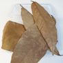 Cacao Leaves 1000ml Image 2