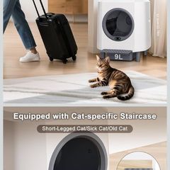 Auto Cat litter box