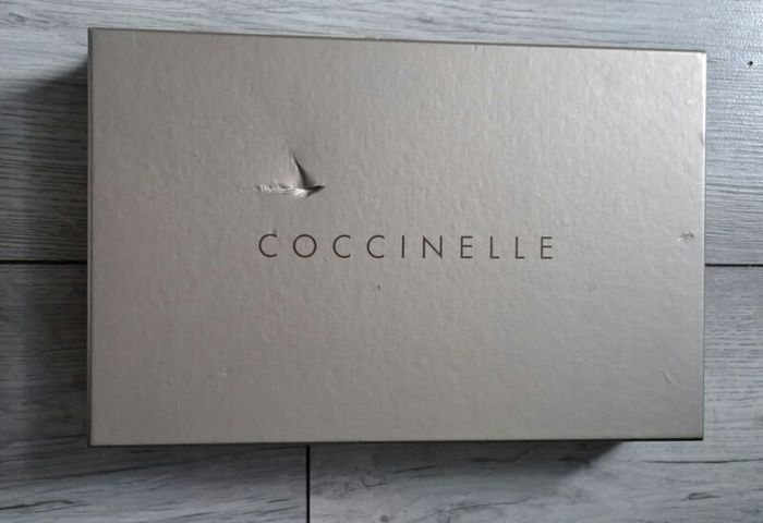 Coccinelle scarf